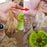 Portable Paw Washing Cup - Dirt Defender for Paws