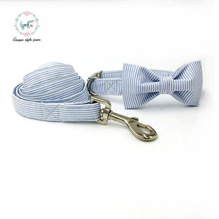 Blue striped dog collar set with bow tie and leash
