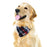 Plaid Dog Bandana Collar