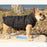 Waterproof Reversible Dog Jacket Designer Warm Plaid Winter Dog Coats Pet Clothes Elastic Small to Large Dog Clothes Winter
