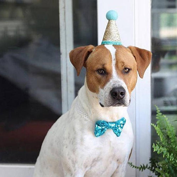 Sequin Pet Crown & Bow Tie Dog Birthday Hat
